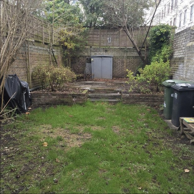 Garden before landscaping works